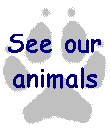 See our animals